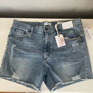 Jessica Simpson Blue Denim Shorts